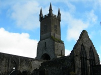 Ennis Friary.jpg